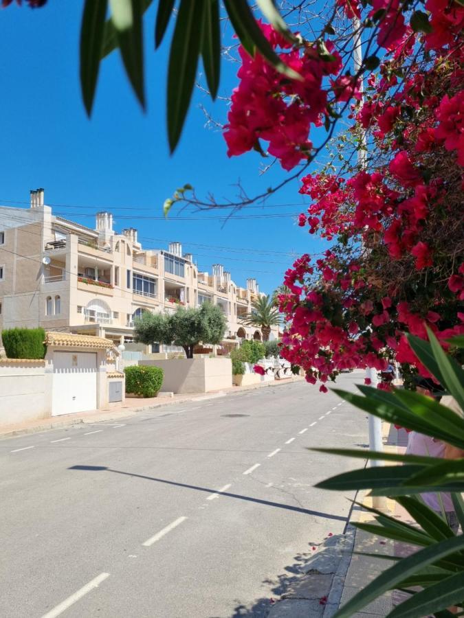 Flamenco Penthouse Sea View & Swimming Pool Apartment Torrevieja